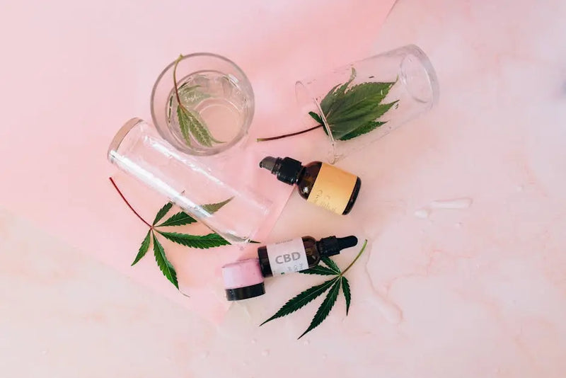 Discover the CBD Benefits for Your Daily Wellness Routine